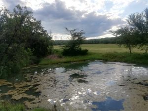 Farm in Derby