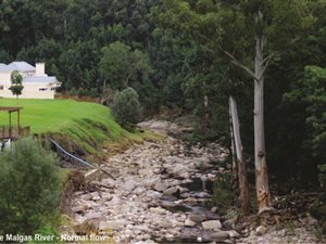 4.2 ha Land available in Blanco