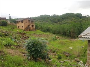 1750 m² Land available in New Dawn Park
