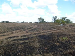 2.1 ha Land available in Rosashof