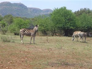 7606 m² Land available in Kshane Lake Lodge