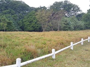 850 m² Land available in Eshowe