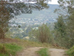 8 ha Farm in Green Pastures