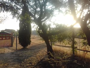 1 ha Farm in Blue Hills