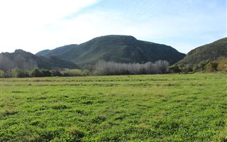 3285 ha Farm in Calitzdorp