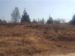 700 m² Land available in Dullstroom