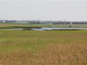 247 ha Farm in Kinross