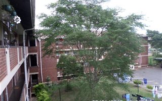 0.5 Bedroom Apartment in Pelham