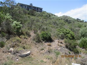 908 m² Land available in Island View
