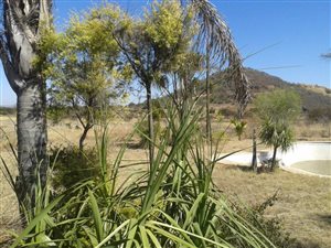 26 ha Farm in Bon Accord