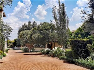 3 Bed House in Irene