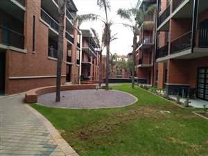 1 Bed Apartment in Melrose North