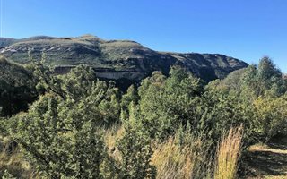 1174 m² Land available in Clarens
