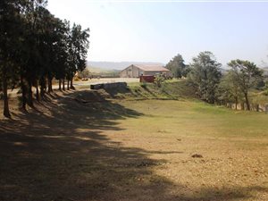 7.8 ha Smallholding in Izotsha