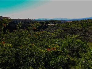 3664 m² Land available in Eastford Ridge