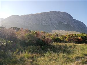1100 m² Land available in Bettys Bay