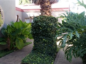 5 Bed House in Flora Gardens