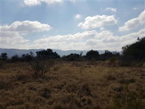 1276 m² Land available in La Camargue