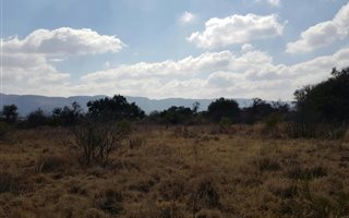 1276 m² Land available in La Camargue