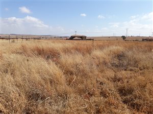 Farm in Rietvlei View