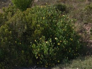 838 m² Land available in Island View