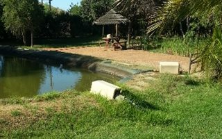 1 ha Farm in Cape Farms