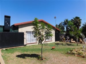 3 Bed House in Wolmer