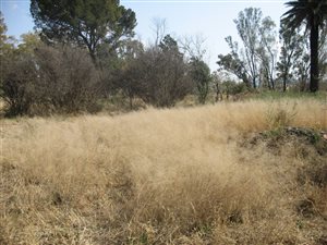 1 ha Land available in Martindale