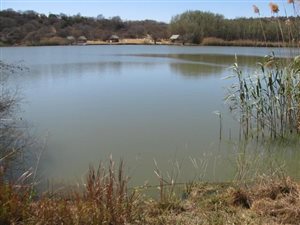 1000 m² Land available in Boschkop