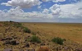 517 ha Farm in Dealesville