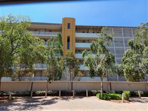 1 Bed Apartment in Hillcrest