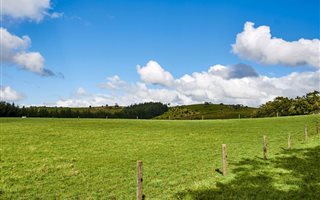 3000 m² Land available in Atholl