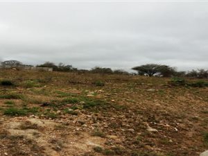 1437 m² Land available in Sterpark