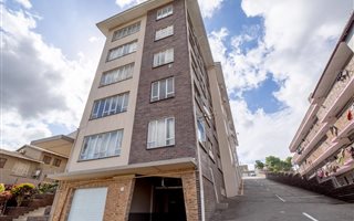 1 Bedroom Apartment in Sydenham