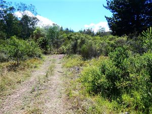 6 ha Smallholding in Sedgefield