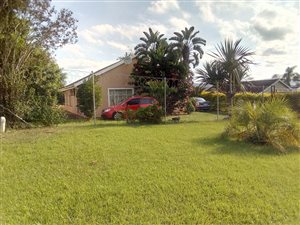 3 Bed House in Ridge Park