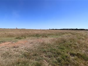1 ha Land available in Martindale