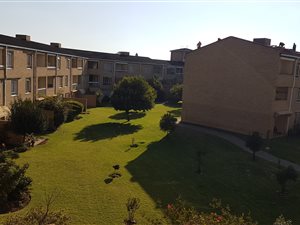 2 Bed Flat in Morehill