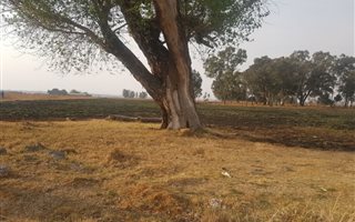 2.4 ha Land available in Withok Estates