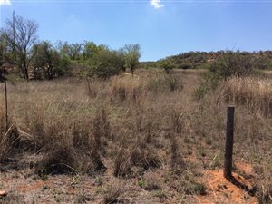 10 ha Farm in Palmietfontein