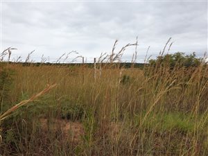 22 ha Farm in Dinokeng