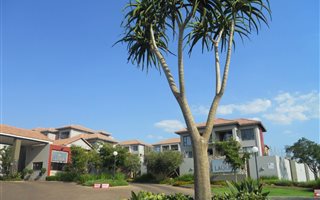 1 Bedroom Apartment in Sunninghill