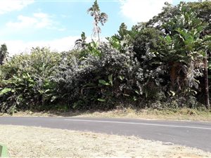 1415 m² Land available in Trafalgar