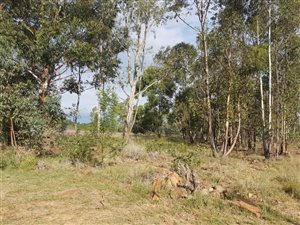 5000 m² Land available in Zwavelpoort