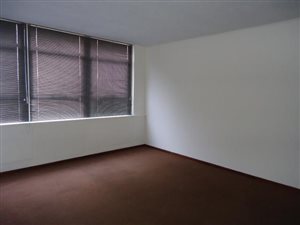 Bachelor apartment in Johannesburg Central