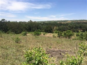 1 ha Land available in Mooikloof Equestrian Estate