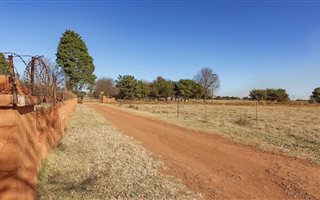 22 ha Farm with House in Elandsfontein AH