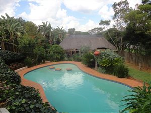 1 Bed Apartment in Newlands