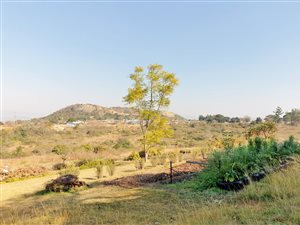 9 ha Farm in White River AH