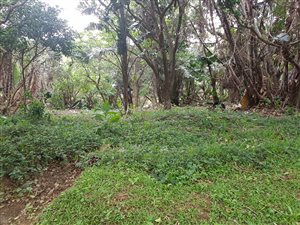 1880 m² Land available in Hibberdene